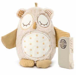 Cloud b Nighty Night Owl Smart Sensor White Noise Plush